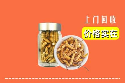 收购资讯:宜宾市屏山回收散虫草