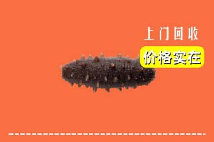 收购资讯:宜宾市屏山回收海参