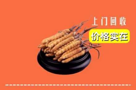 宜宾市屏山回收冬虫夏草