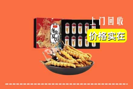 宜宾市屏山回收虫草