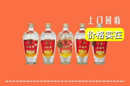 宜宾市屏山回收老五粮液